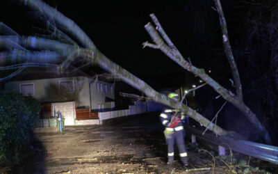 22.12.2023 Aufräumen nach Sturm