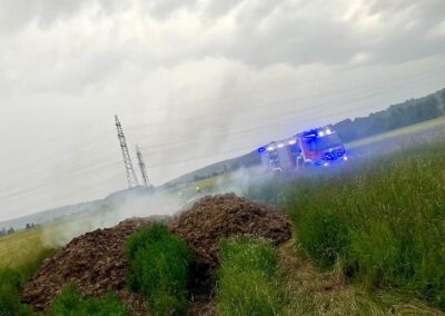 brand-misthaufen-01