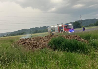 brand-misthaufen-02