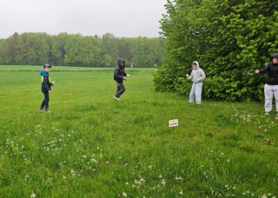 Aktion_bee_wild_01_article