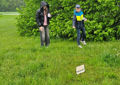 Aktion_bee_wild_02_article