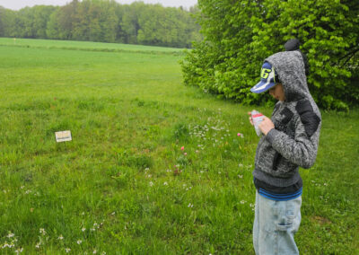 Aktion_bee_wild_03_article