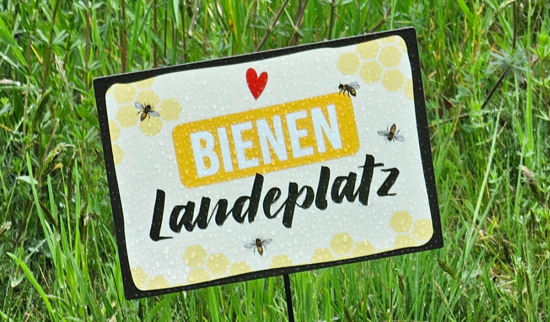 25.04.2025 Aktion Bee Wild
