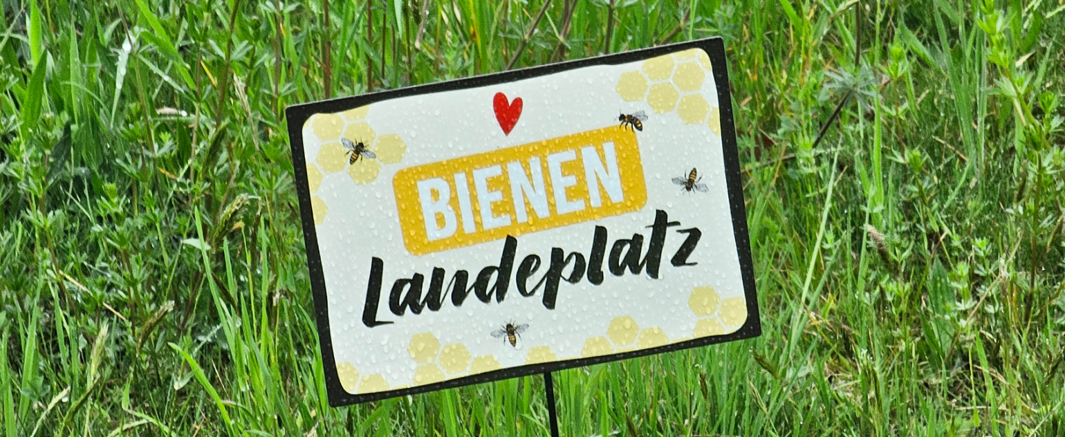 Aktion_bee_wild_intro Aktion_bee_wild_intro