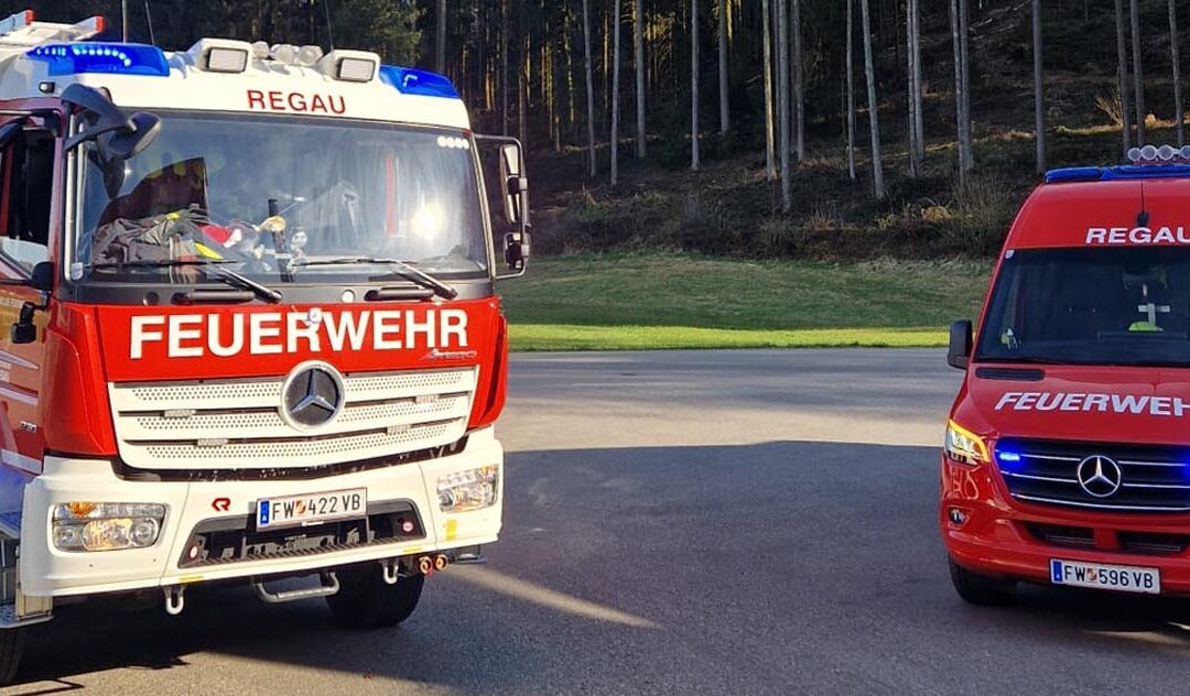 12.04.2025 Brandmeldealarm