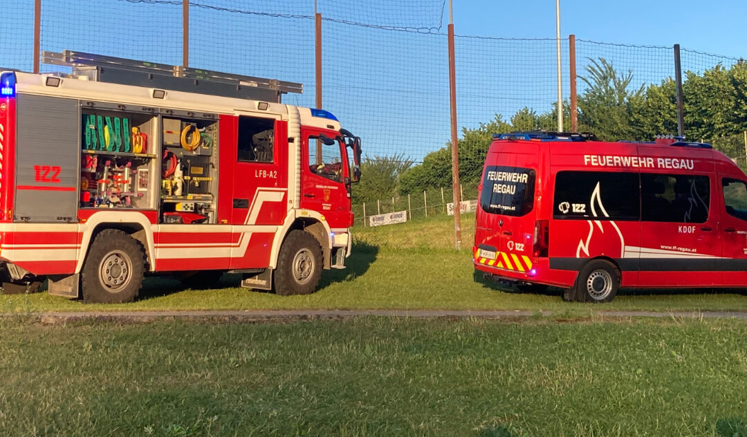 24.06.2025 Personenrettung am Baggersee