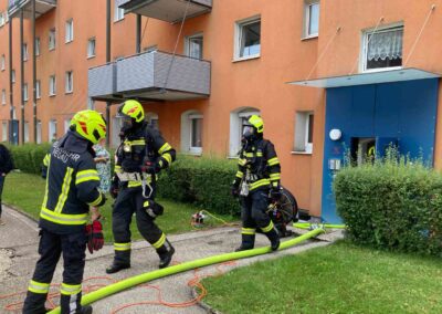 Brand_VBruck_02_article