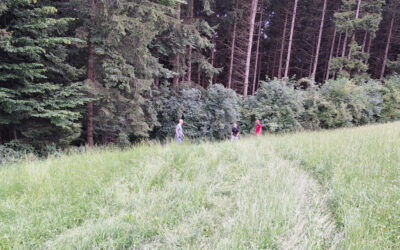 22.07.2025 Fahrzeugbergung