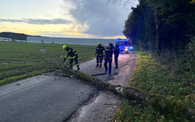24.10.2025 Umgestürzter Baum blockiert Straße nach Oberregau