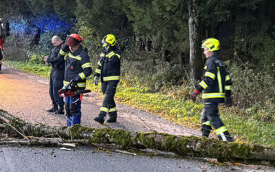 24.10.2025 Umgestürzter Baum blockiert Straße nach Oberregau