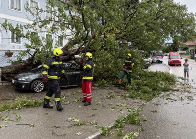 20260531_sturm_03_article