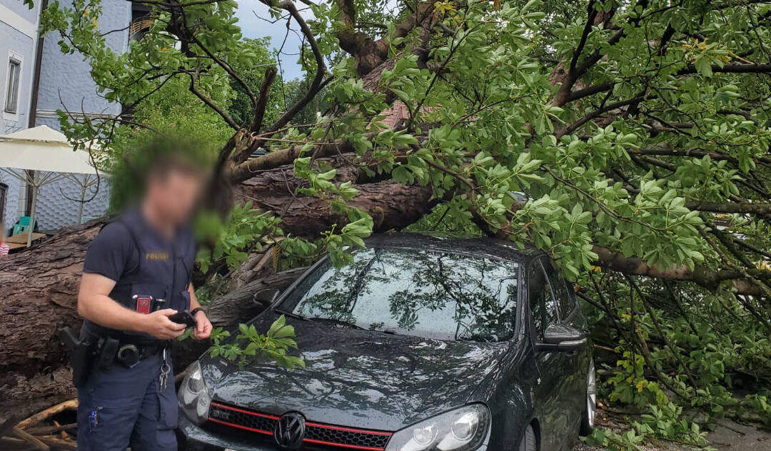 31.05.2026 Weitere Sturmeinsätze
