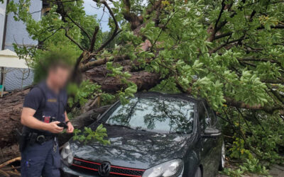 31.05.2026 Weitere Sturmeinsätze
