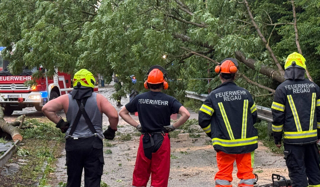 30.05.2026 Brandmeldealarm und diverse Sturmeinsätze