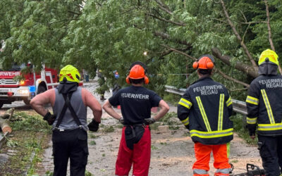 30.05.2026 Brandmeldealarm und diverse Sturmeinsätze