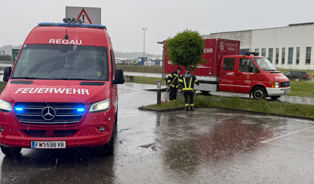 01.06.2026 Ölspur