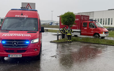 01.06.2026 Ölspur