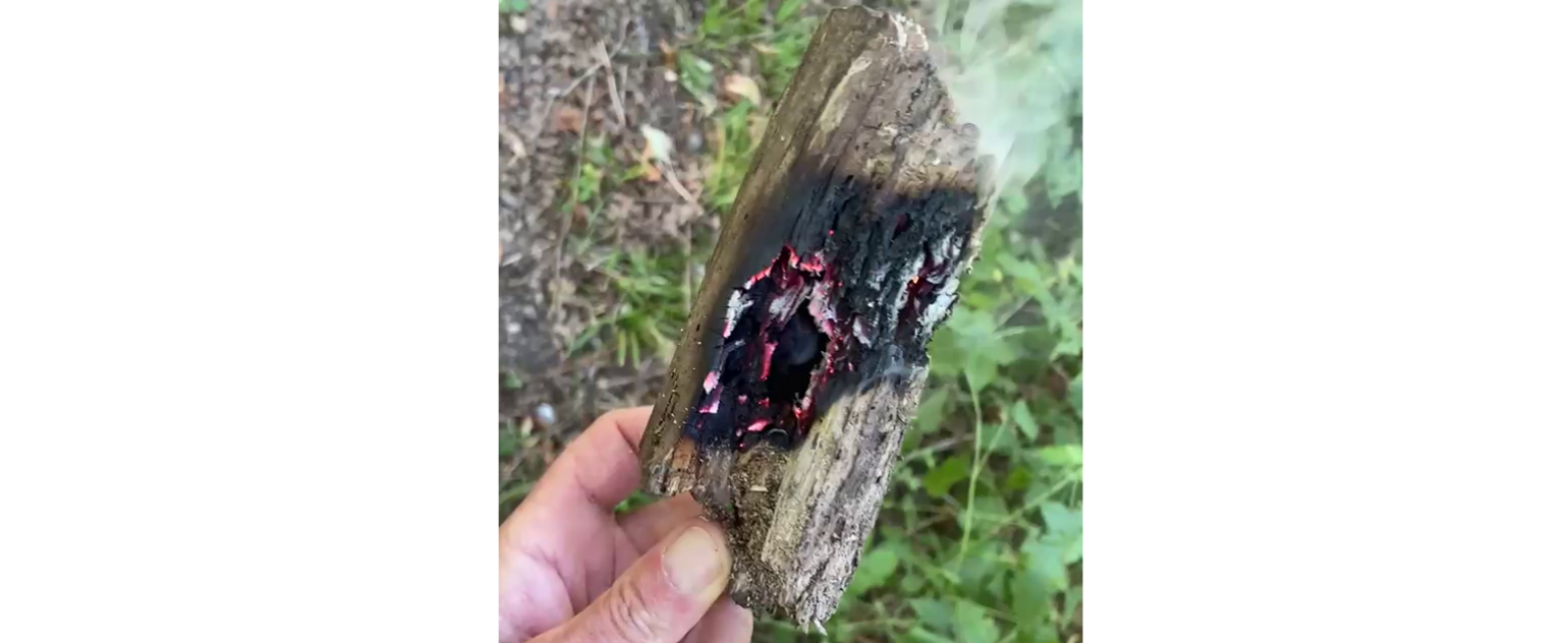 glosendes_holz_schalchham_intro glosendes_holz_schalchham_intro